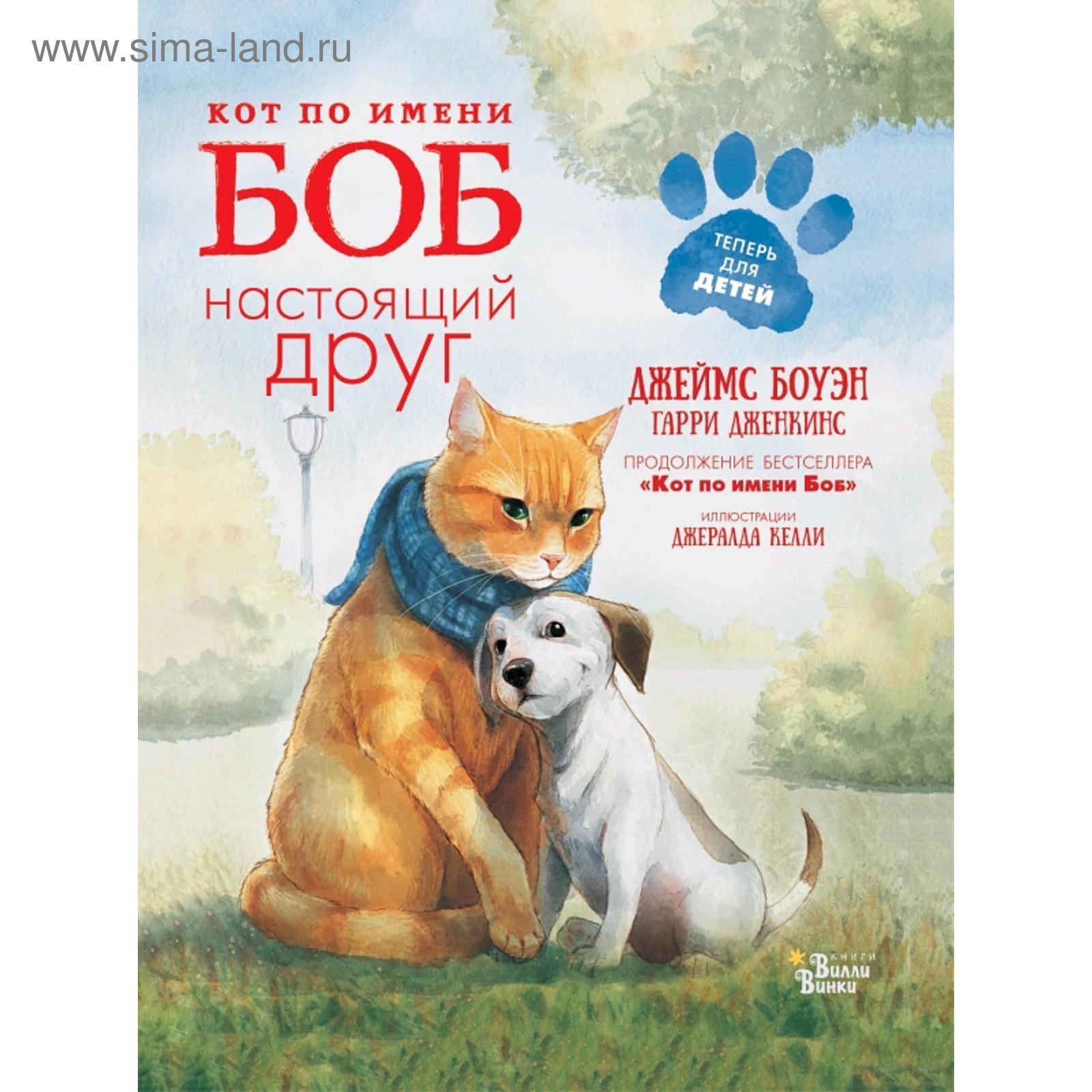 Новый Год Кота Боба Новый Год Кота Боба